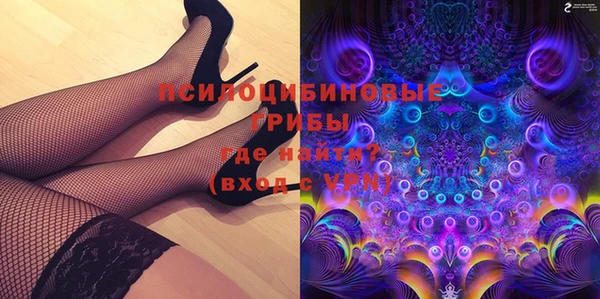 прущая мука Алзамай