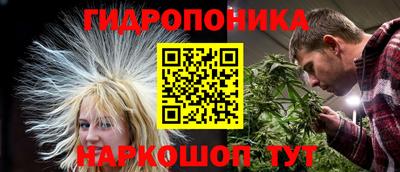гидра Пыть-Ях