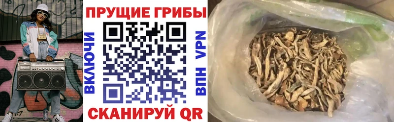 Псилоцибиновые грибы мицелий  продажа наркотиков  Арзамас 